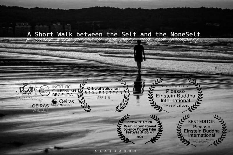 A Short Walk between the self and the Noneself
