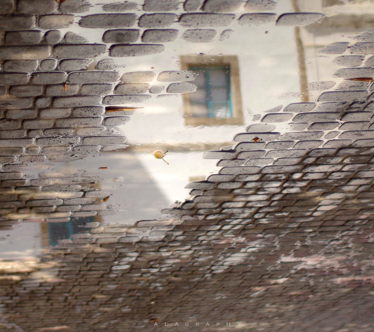 Algorithmic street art installation in Paris by ALAgrApHY